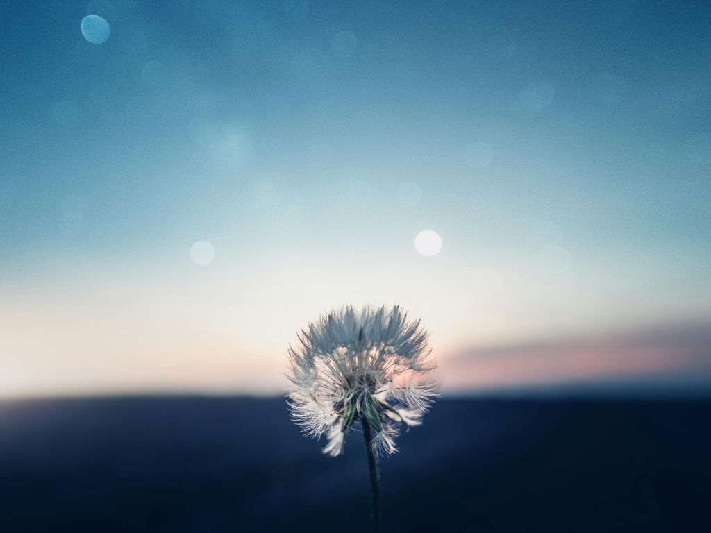 An Exploration of Gentleness